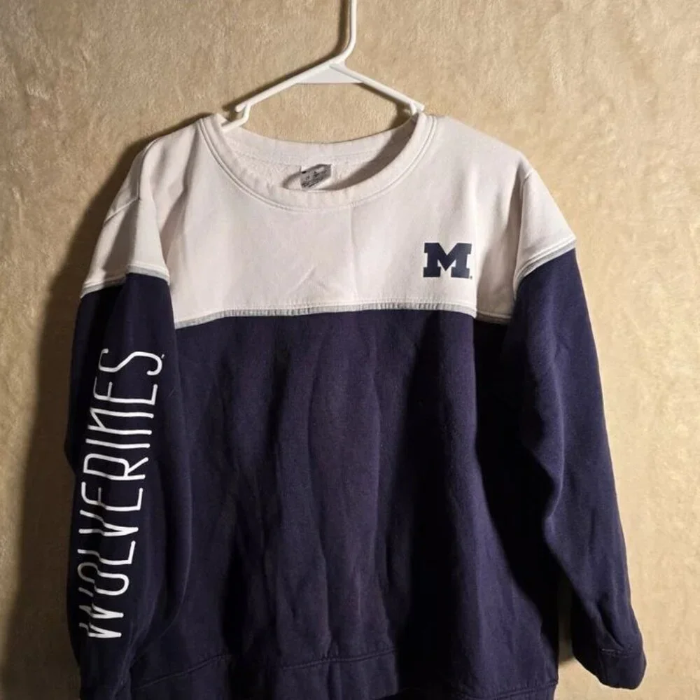 Champion University of Michigan‎ Wolverines Sweatshirt Men L Colorblock Vntg 312